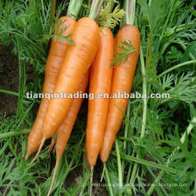 Preço de cenoura fresca